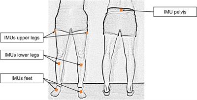 Acoustic Feedback in Gait Rehabilitation—Pre-Post Effects in Patients With Unilateral Hip Arthroplasty